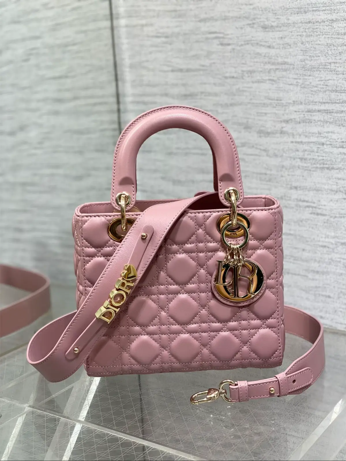 #meloriaparis #luxurybags #diorbag #foryoupage 