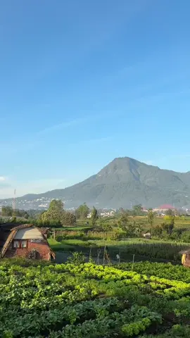 Batu dengan view nya ⛰️🍃#batumalang #fyp #malang #fypシ 