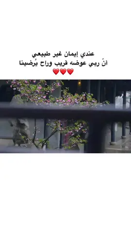 #العوضالجميل❤❤ #الثقة_في_الله_نچاح #لايك__explore___ #فوريو_foryou #fyppppppppppppppppppppppp 