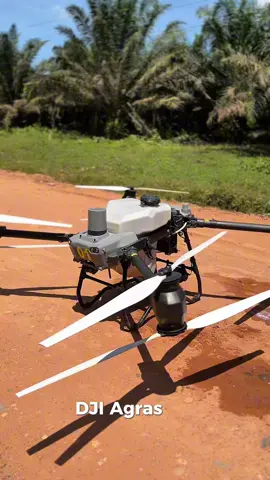 Kenalin DJI Agras T50 #drone #dji #djiagrastt50 #fyp #dronespray #djiagriculture #petani 