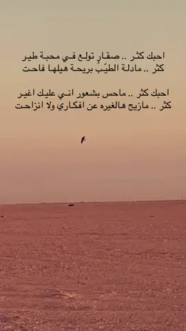 #طيور #سهيل #مطلق_الملعبي #عود #شعبي #الشعب_الصيني_ماله_حل😂😂 