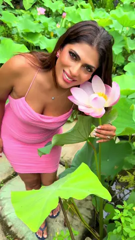 Lotus Garden in Ubud @wedjabali  . . . . . #bali #ubud #garden #lotus #tamilactress #bollywood #fitbody #trendingreels #fitmom  #tamilponnu #hindisongs #kanndareels #kannada 