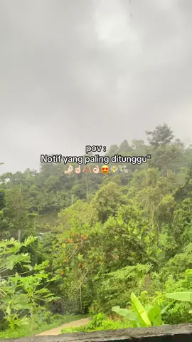 💸💸💸💸💸 #fypシ #xyzbca #fypage #fyp #brimo #katakata #masukfyp 