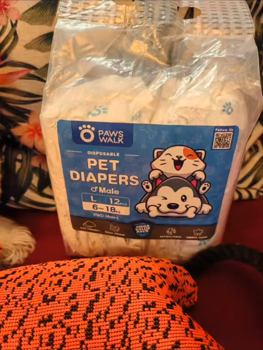 Disposable pet diapers #pawswalk  #pawswalkdiaper  #petdiapers  #fyp 