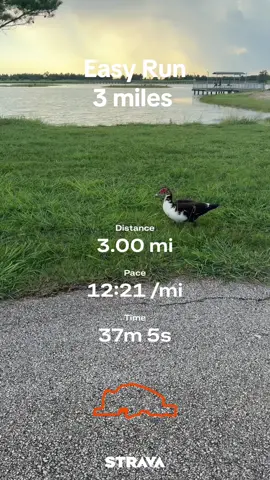 Easy Run 3 miles!! #Running #runningera #latinarunner #newrunner #runningvlog #runninggirl 
