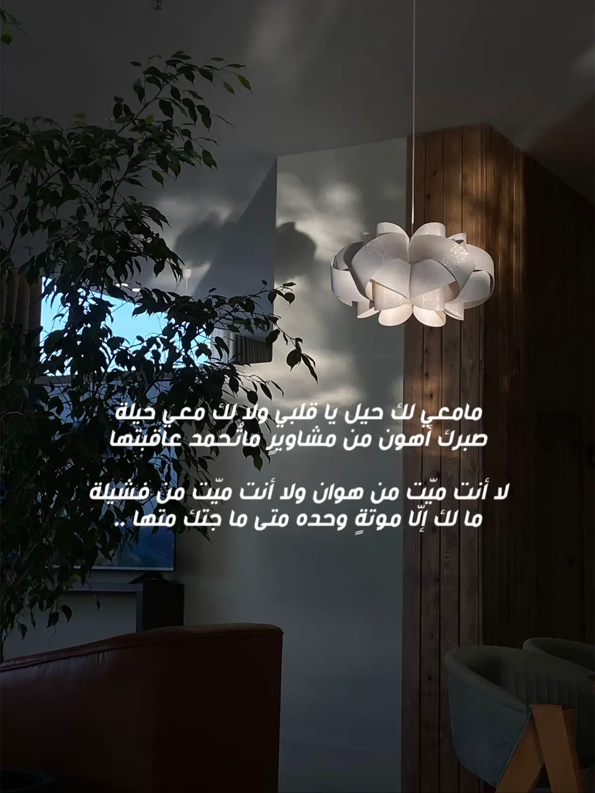 🧠♥️ #شعر #أدب #قصيد #fy #tranding #اكسبلور #أدبيات #شعور #tiktoklongs #CapCut #explore 