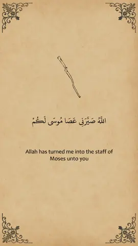 الله صيرني عصا موسى لكم #الشعر_العربي #نونية_القحطاني #اسلاميات #اللهم_صل_وسلم_على_نبينا_محمد #شعر_وقصائد #الله_اكبر 