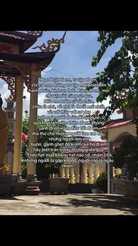 #sungduc #phattutrechuasungduc #thayhung #phatphapnhiemmau 