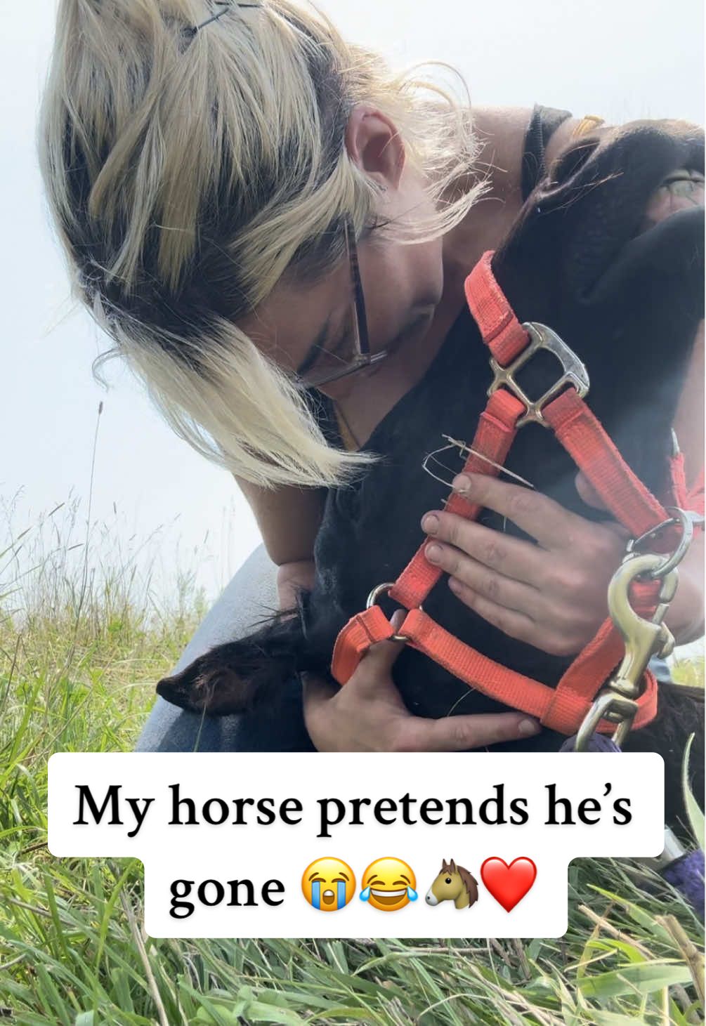 My horses love making me suffer. They know how much I love them so they play sick games. Lol. #fyp #horses #equestrian #horsegirl #foal #foalsoftiktok #horserescue #equine #horsetok #horsesontiktok #rescuehorse #rescuestory 