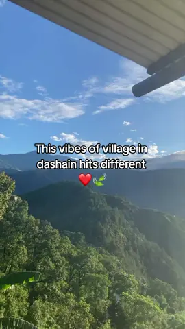 This vibes...❤️🍃 #dashainvibes #lossingsupport💔 #foryoupage #unfrezzmyaccount #RajuĶć 