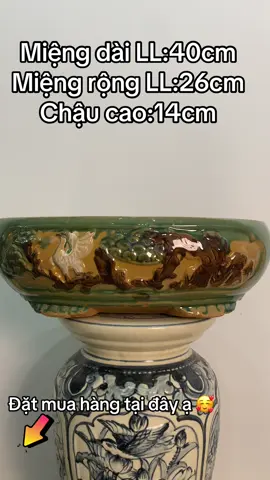 Chậu ovan trồng cây bonsai