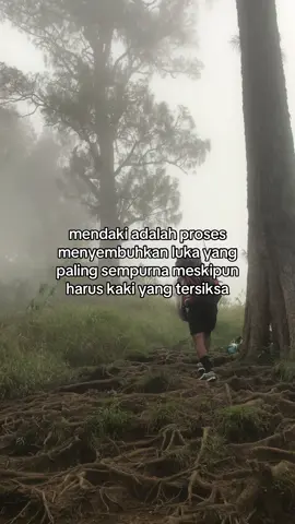 #pendakigunung #pendakiindonesia #gunungrinjani3726mdpl #fyp #foryou 