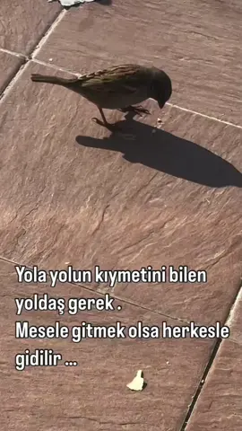 #keşffeefffffffffffffffffffffffffffffff #🥺🥺🥀🥀🥀🥀💔💔💔💔 