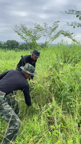 สบายคัก🤣#อุบลราชธานี #ทหารบก #ทหารราบ 