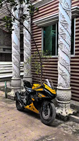 #hey_aman006 #fyp #fypage #gsxr #foryou #foryoupage #tiktokofficialbangladesh #explore #highlight #fyppppppppppppppppppppppp 