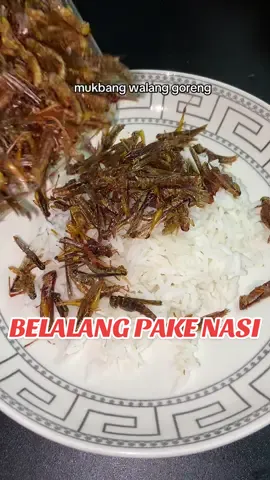nyam nyamm enak banget pake nasi🤤🤤 #belalangutis #belalanggoreng #belalanggorengcispy #belalanggorengpedas #walanggoreng #belalanggorengpedasgurih #rekomendasi 