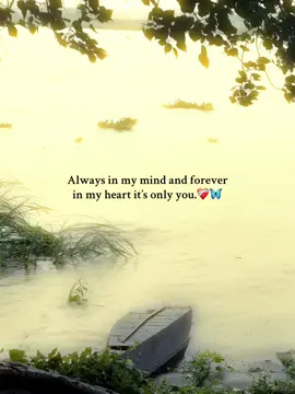 Always in my mind and forever in my heart it’s only you.❤️‍🩹🦋#foryoupage #fypシ゚viral #viralvideo #statusvideo #tendingvideo #fffffffffffyyyyyyyyyyypppppppppppp #Juboraj_321 #unfrezzmyaccount 