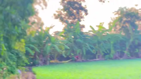 dầu 0,001 quá víp..!#xh 