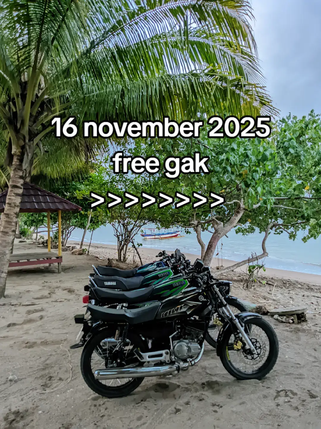 siapkan kuda besimu lor🔥👑🤘 #jamborerajatanggamus #jamda #rajatanggamusbersatu #jamdatanggamus #tanggamus_lampung #rxkinglampung #rxkinglampung135 #RTB #jamda #2stroke #rxkingindonesia #fyp #fypage #fyppppppppppppppppppppppp 