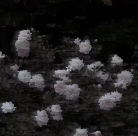 #CapCut  #fyp #mystical #medieval #pretty #angel #flowers #star