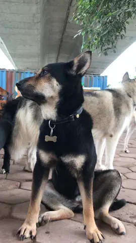Chán đời :))