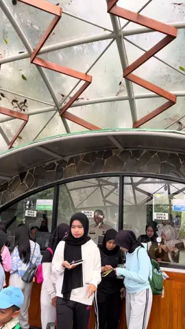 Biar apa #fyp #rizkigbrll 