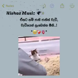 ඒකට නම් ජාති ජාතිත් වැඩි වැඩියෙන් ලැබෙන්න ඕනි..! #nishad__music #nishad__music2 #nishad__wadan2 