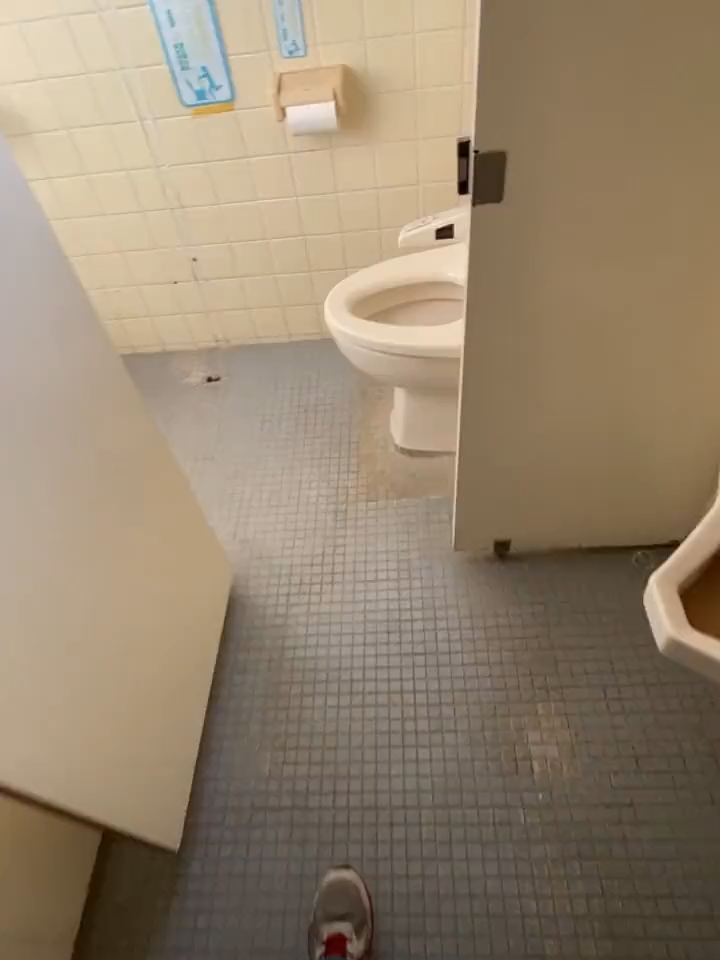 今まで色んなトイレを見てきたけどこんなトイレは初めてでした。