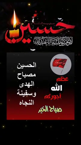 #صباح_الخير #amor❤️ #محرم #شهرمحرم_الحرام #محرم_1447 #محرم_1447_ويبقى_الحسين #ياحسين #مازن_الرميثي #ملا_مازن_الرميثي #2025 