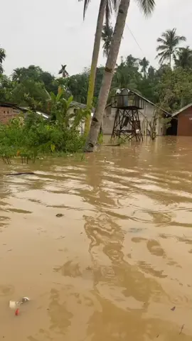 Respon Banjir Kota Kendari  #banjir  #kendari  #kotakendari  #sulawesitenggara  #relawanrumahzakat  #relawanrumahzakatsultra  #rrzsultra 