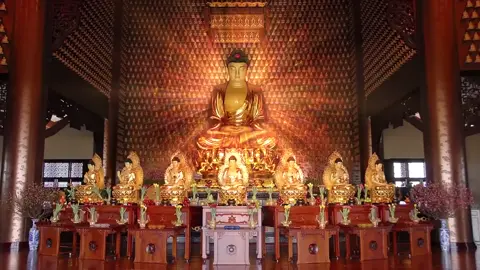 🎥 BỔN MÔN PHÁP HOA KINH – HT. THÍCH TRÍ QUẢNG Là phần tinh yếu của Kinh Diệu Pháp Liên Hoa, nói về Phật pháp thân thường trú, bất sinh bất diệt. HT. Thích Trí Quảng đã chọn lọc 7 phẩm để biên soạn bộ kinh, giúp hành giả dễ tụng trì – dễ ứng dụng tu tập. 📿 Ngài đặt niềm tin sắt đá vào Đức Phật thường trú và chuyên niệm “Nam Mô Diệu Pháp Liên Hoa Kinh”, xem đây là bí yếu của Phật, giúp: “Thấy rõ thật tướng các pháp, phát sanh trí tuệ và đạo đức, trở về được với Bổn Phật thường trú, bất sanh bất diệt.” 🧘‍♂️ Và một lời dạy sâu sắc: “Kinh không còn nằm trên giấy, mà biến thành sức sống trong chính mình.” 📚 Trích “Lời Giới thiệu –  Lược giải Bổn Môn Pháp Hoa Kinh” – HT. Thích Trí Quảng 📖 7 phẩm được chọn lọc gồm: 1. Phẩm Tựa (1) 2. Phẩm Pháp Sư (10) 3. Phẩm Tùng Địa Dũng Xuất (15) 4. Phẩm Như Lai Thọ Lượng (16) 5. Phẩm Phân Biệt Công Đức (17) 6. Phẩm Phổ Môn (25) 7. Phẩm Phổ Hiền Bồ Tát Khuyến Phát (28) Nguồn: https://youtu.be/iHusKxPTJVE?si=RWvNUn13dLCtTT6a #bonmonphaphoakinh   #htthichtriquang  #daotrangphaphoa  #chuahuenghiem 