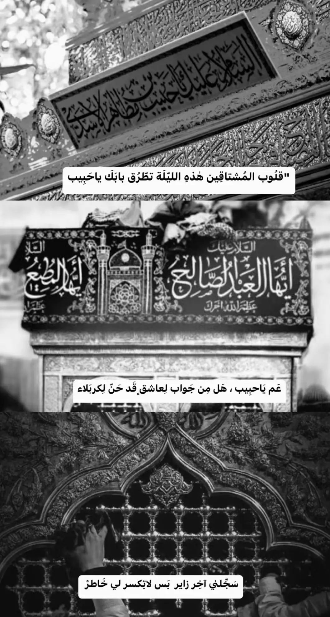 #سيدي_ياحبيب_سجلنا_من_روار_الغريب🤲🏻🥺🥺 #الهي_البلوغ_ولوصول_اليك_يااباعبدالله #لايكات_الاكسبلور_متابعه_تعليقات_حلوه #كومنت #فولوا #ترندات #اكسبلورexplore❥🕊🦋💚❤🕊️، #تعليقات_ولايك_ومتابعه_واكسبلور 