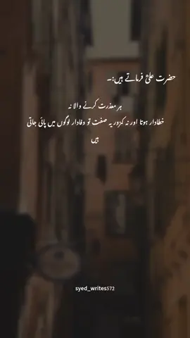 Hazrat Ali(a.s)✨💯🍁#1millionaudition #asthetic #poetrystatus #foryou #foryoupage #fyp 
