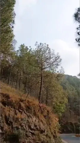 #foryoupage #foryou @Ehsan Abbasi @Maliksami001 