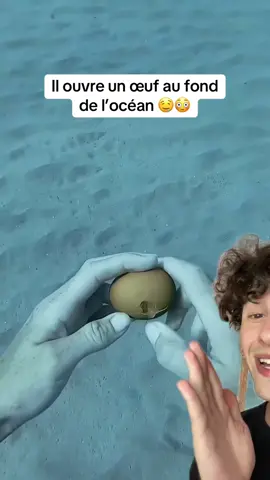 Le plus choquant est après l’ouverture 🫢