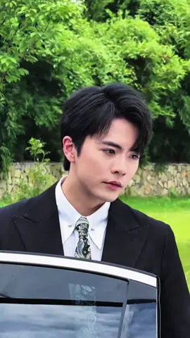 #wangnan #fyp #aktorganteng #shortdramachines 