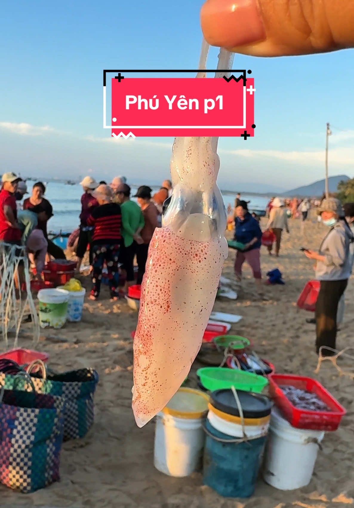 Muốn đi du lịch mà không phải tốn nhiều tiền lại được ăn toàn là cá mực tươi roi rốiii thì đi liền theo tui .. #bepcuagiao #mukbang #anvat #banhxeomuc #phuyen #chogiaison 