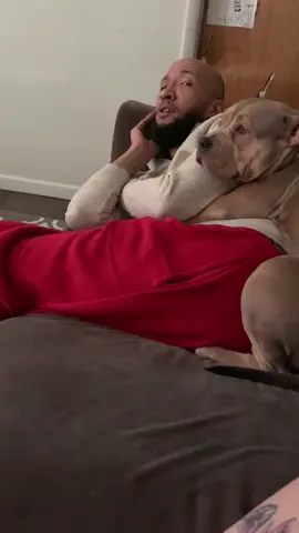 Dog owners have no personal space #funny #Dog 