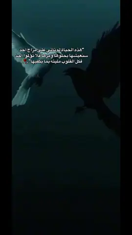 #اكسبلور #fyp #استوريات🖤mix🥀 