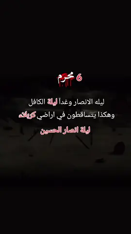 #عظم_الله_اجورنا_واجوركم_بهذا_المصاب #ليلة_انصار_الحسين 