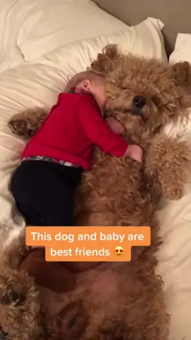 They seem to have known each other for a long time #baby #Love #dog #fyp #fouryou #tiktok #lovebaby 