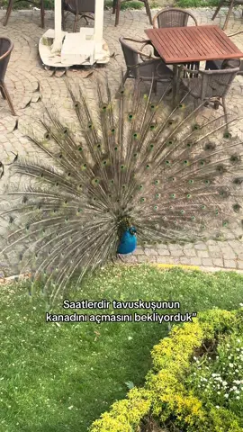 #keşfet #kesfet #foryou #fypシ 