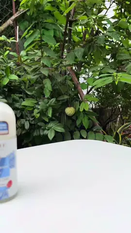 Lăn khử mùi Purité nè #purite #lankhumui #lannachpurite 