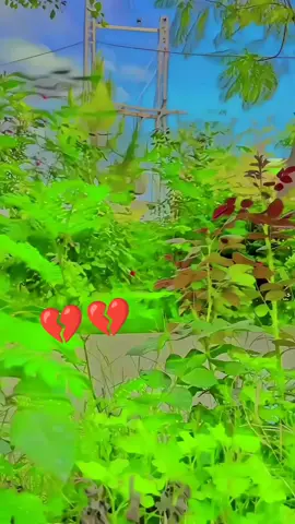 che sok di khawe ❤️❤️💔#unfrezzmyaccount #viral #unfrezzmyaccount #😥😥😥😥 #