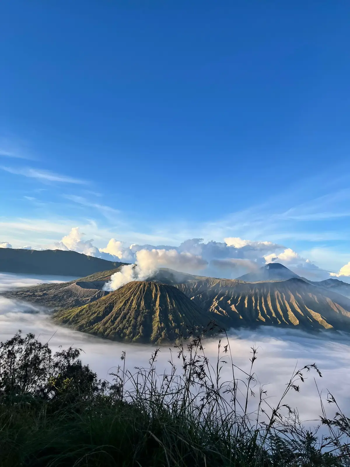 “Nantikan aku kembali dengan seseorang yang tak kalah indahnya denganmu”🥹#sunrise #sunrisebromo #bromo #bromotenggersemeru #pesonaindonesia #fypシ #fypage 