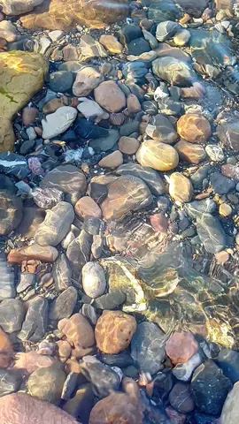 #algeria #plage #chanson 