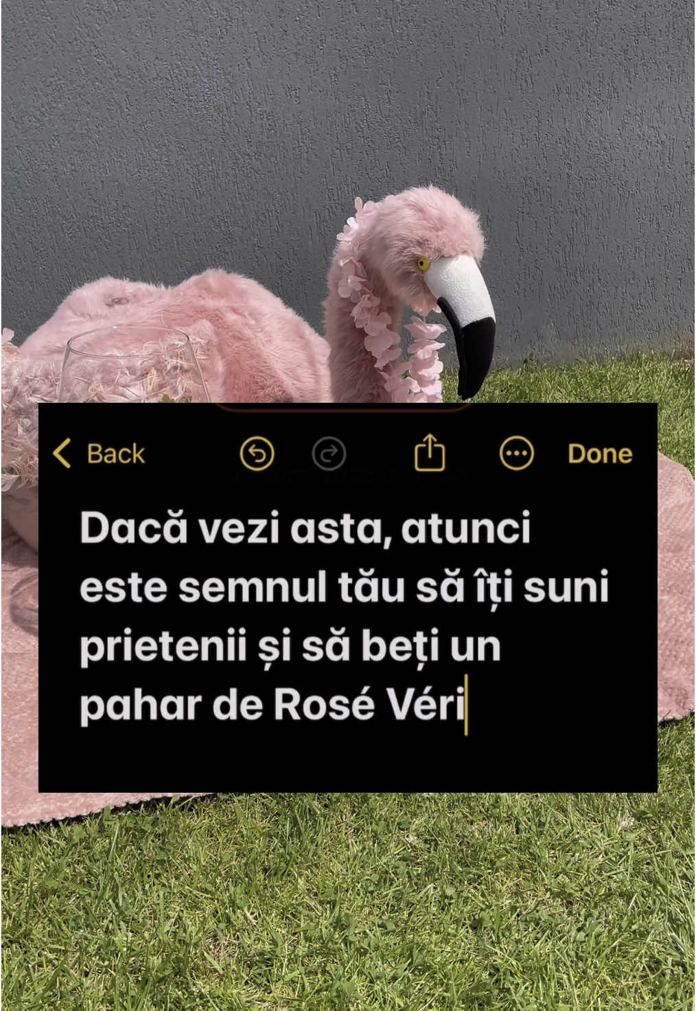 🥂 Pro tip: pune vinul la rece de-acum. Când vin prietenii, ești deja pregătit! 🦩 #365deziledevara #LaVidaEnRose #beciuldomnesc #roseverite #funny #romania #cheers #vara 