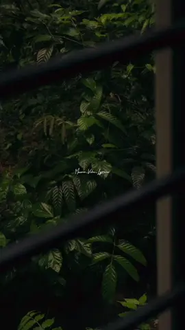 Munbe Vaa  💜✨ #munbevaa #sillunuorukadhal #arrahman #arrahumanmusic #shreyaghoshal #nareshiyer #suriya #jyothika #musicvibeslyrics #tamilmuser #312k #fypシ #songlyrics #tamilsong #tiktok #tamilstatus #whatsappstatus #vibe #17m #editor #tamilcinema #capcut 