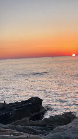 #CapCut #jijel_____algér⚡❤ #الشعب_الصيني_ماله_حل😂😂 #ابوني_ياك_باطل_ولا_حنا_مانستاهلوش #fyb #maxpartager🔥🔥🔥 #fybシ #foryoupage #fouryou #tik_tok #بحر #diyech #algeria #igilgili💚🤍 #غروب #غروب_الشمس #غروب_الشمس_تصويري 