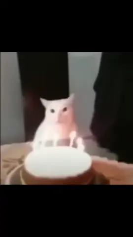 Feliz cumpleaños a los que cumplen en Juliooo🎉🎂🫶🏻/// muchas gracias por su apoyo /// los amo 💞 #fypppppppppppppp #viral #zyxcba #paratiiiiiiiiiiiiiiiiiiiiiiiiiiiiiii #felizcumpleaños #julio #gatos #paratiiiiiiiiiiiiiiiiiiiiiiiiiiiiiii 